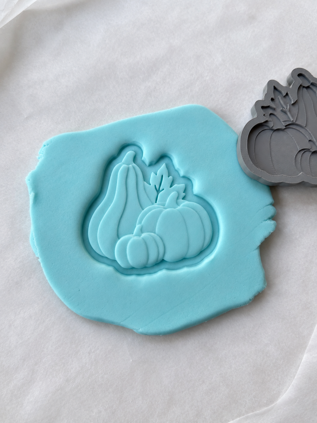 Autumn Pumpkin Collection 3D Deboss & Matching Cookie Cutter