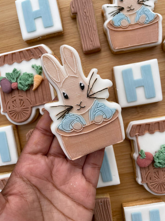 Peter Rabbit - Beatrix Potter deboss + matching cutter MEG cookie cutters