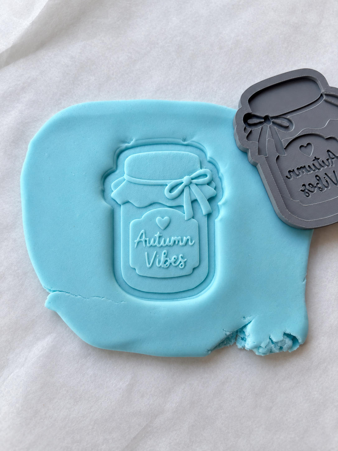 Autumn Vibes Jar 3D Deboss & Matching Cookie Cutter