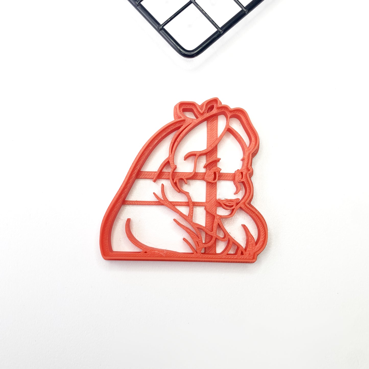 Alice in Wonderland Cookie Cutter (1)