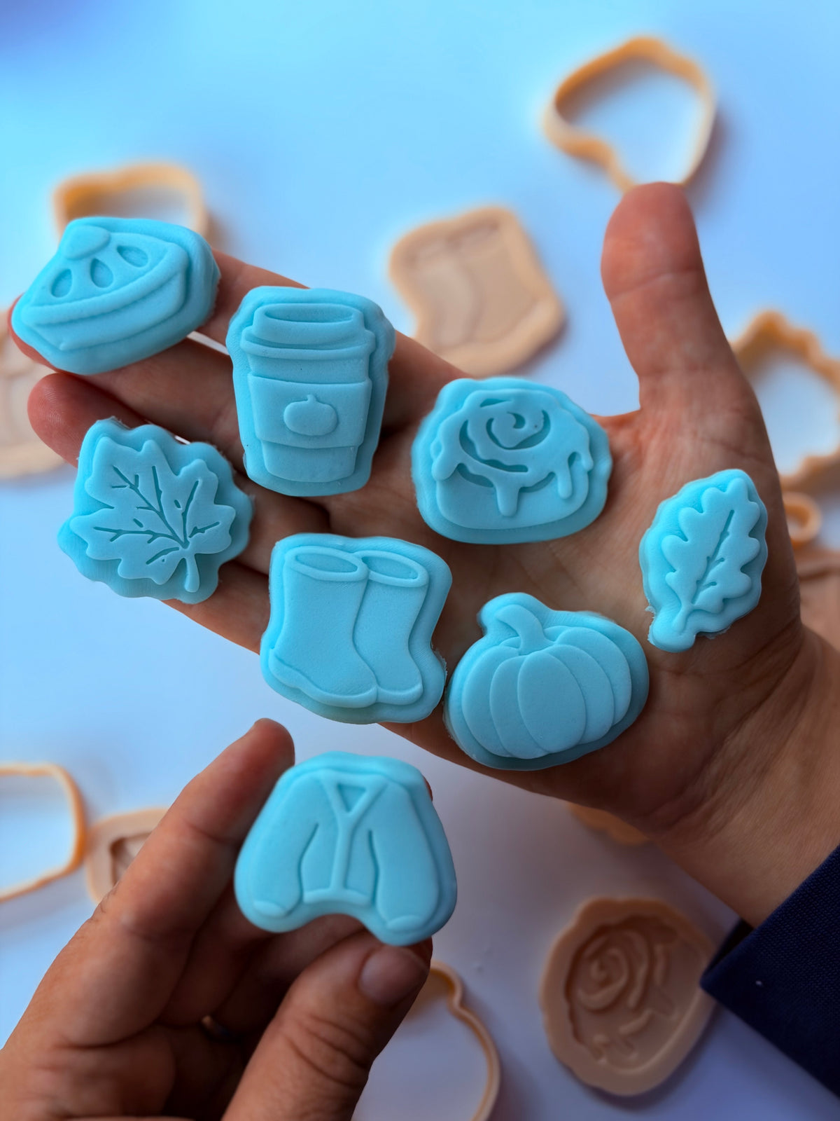 Autumn Mini Set of 8 – 3D Deboss Stamps & Matching Cookie Cutters