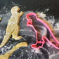 Dinosaurs Set Cookie cutter MEG cookie cutters
